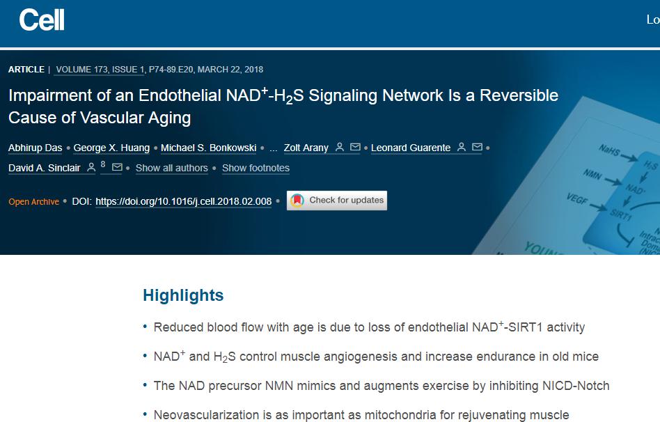 《Cell》发文：NAD+可逆转血管老化，改善老年病