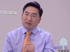 NOVIS vita如何穿过细胞膜